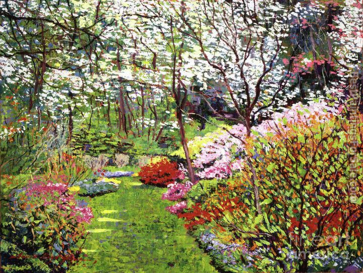 David Lloyd Glover Spring Forest Vision